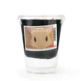 （観葉植物）種まき済み　ペットグラス（燕麦）栽培　3号（3ポット）　ペット　猫　ねこ　猫草　小動物　うさぎ　モルモット　おやつ　生牧草