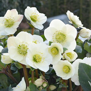 iϗtAjNX}X[Y@XKN@zCg@5i1j