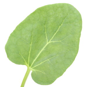 iϗtAjn[uc@o[u@3i1|bgj@ƒ؉