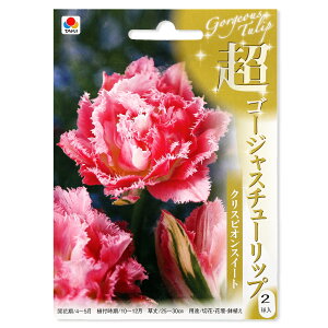 iϗtAj`[bv@S[WX`[bv@NXsIXC[g@2li1܁j