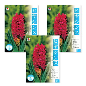 iϗtAjqVX@͔|pqVX@W{Xi3j