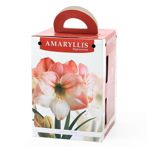 iϗtAjA}X|bgA@d炫A}X@i1Zbgj