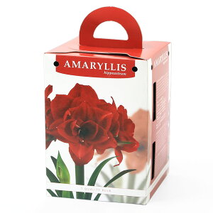 iϗtAjA}X|bgA@d炫A}X@ԁi1Zbgj