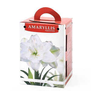 iϗtAjA}X|bgA@d炫A}X@i1Zbgj