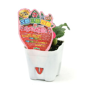 iϗtAjؕc@C`Sc@YOYlŶc@W{C`SiACx[j@3D5i1|bgj@ʕ@t[c