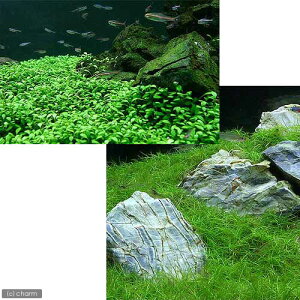 ijOb\XeBO}itji_ji1j{wA[OX@V[gi_ji2j