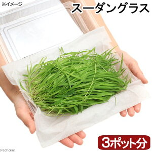 iϗtAjY@ƂꂽĐq@VNt@X[_OXi3|bgj@_@@L@@