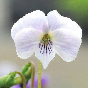 iR쑐jX~i俁j~XYX~@璹@2D5`3i1|bgjixԁj