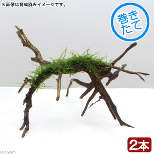 ijā@EB[X@u`A[`؁itji_ji2{j