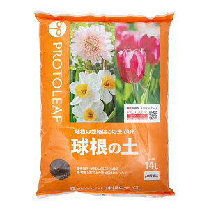 |{y@vg[t@̓y@14L@ll1_@֓