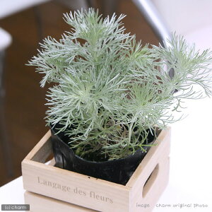 iR쑐jATM\Eij@2D5`3i1|bgjixԁj