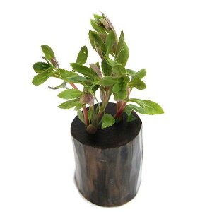 ijj[I_vgitjO|bgti_ji1j