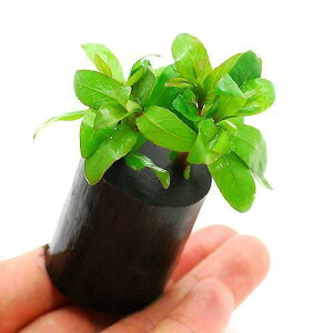 ijnCOtB@|Xy}itjO|bgti_ji1j