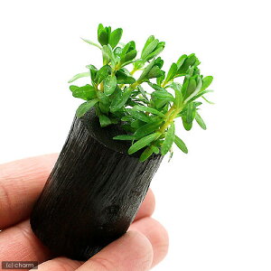 ij^@iZAitjO|bgti_ji1j