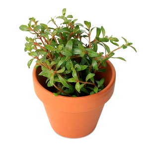 ijfĂ@AOACA@bh^itji_ji1j