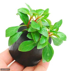 ijhEBWA@i^XiC{CXjitjO|bgti_ji1j