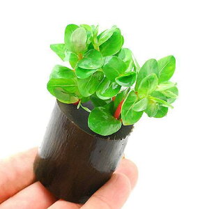 ij^@gfBtHAitjO|bgti_ji1j