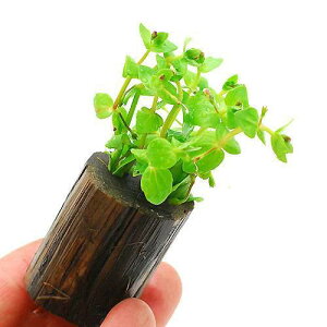 ijh}AR_[^itjO|bgti_ji1j