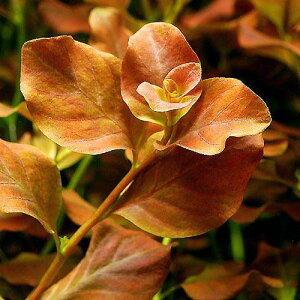 ijA@hEBWA@IoXi~YLmV^jitji_ji1j