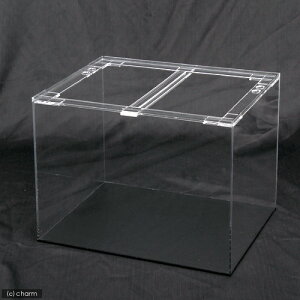 @AN@ANNA^N@ʔi600×300×360mmE4×4×5mmj@60cm@֓