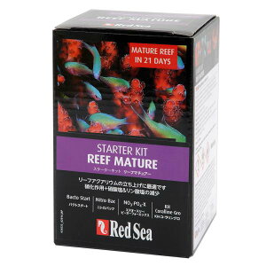 bhV[@MCP@[t}`A[v@Cp@X^[^[Lbg@֓