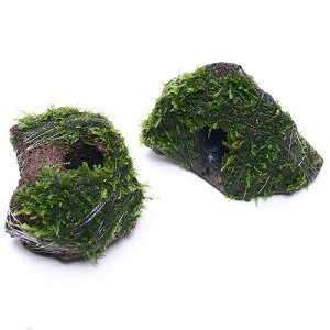 ijā@ăEB[X@n΁itji_ji1j