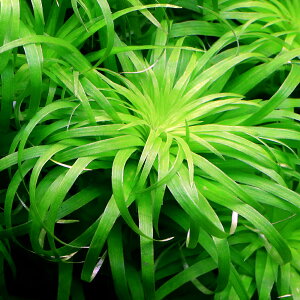 ijgjispDxYitji_ji3{j