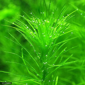 ijKVtH@}_KXJGVXi_ji20{j