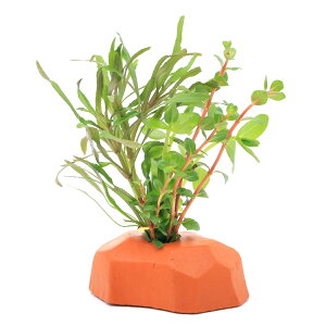 ij[ICgiIWjU@{TCi_ji1j