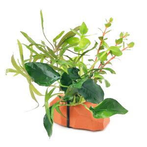 ij[ICgiIWjU@{TC@VerDAkrAXiiitji1j