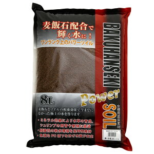 \lP~t@@ѐ΃p[\C@@@8L@Mы@pi@֓