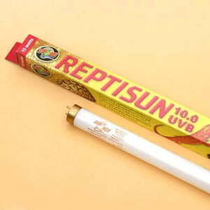 @ZOOMED@veBT10D0UVB@15W@ia2D5×45cmj@45cmp@T8@֓