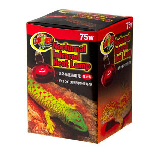 ZOOMED@ԊOۉd@Ctbhq[gv@75W@঒ށ@ۉ@֓