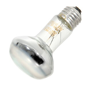 ZOOMED@veB@oXLOX|bgv@25W@঒ށ@ۉ@֓