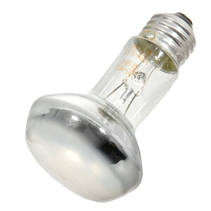 ZOOMED@veB@oXLOX|bgv@50W@঒ށ@ۉ@֓