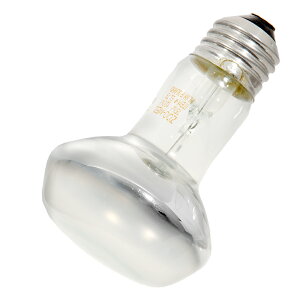 ZOOMED@veB@oXLOX|bgv@75W@঒ށ@ۉ@֓