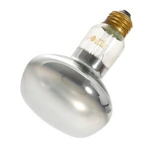 ZOOMED@veB@oXLOX|bgv@150W@঒ށ@ۉ@֓