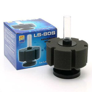 LSS@{́@LSSX|WtB^[@LS|80S@GA[V@֓