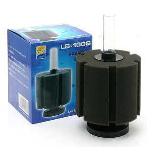 LSS@{́@LSSX|WtB^[@LS|100S@GA[V@֓