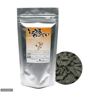 т܂ׂ@50g@r[Vv@a@֓