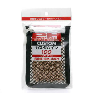 p[nEX@JX^C@100@\tg^Cvi_EWApj@֓