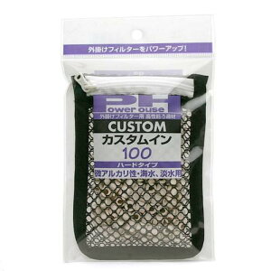 p[nEX@JX^C@100@n[h^CviAJECAWpj@֓