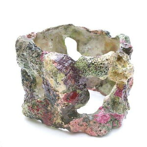 CubNvJ@CubNO@10cm@֓