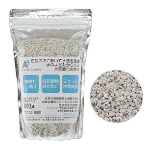 z{ߗp@[ICgz΁@ɍזځi0103j@800g@֓