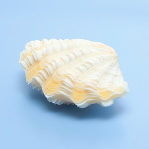 Lk@VFRNV@VRKC@~bNX@STCYi1gji`󂨔Cj@IJhJH@֓