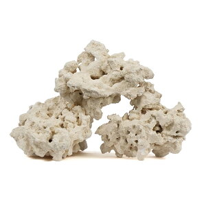 }RbN@[tZ[o[@GbWXiEdgelessj@STCY@2`3kg@TS@΁@C@@@CAEg@֓