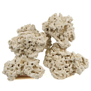 }RbN@[tZ[o[@GbWXiEdgelessj@LTCY@8`13kg@TS@΁@C@@@CAEg@֓