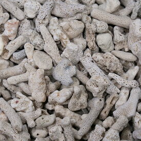 コーラルボーン　サンゴ砂　＃25　10kg　関東当日便