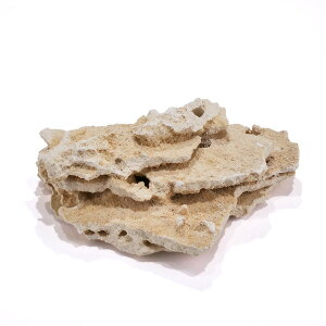 }RbN@VFt@STCY@10kgZbg@TS@΁@C@@@CAEg@֓