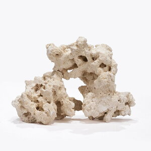 }RbN@[tZ[o[@GbWXiEdgelessj@SSTCY@1kg@TS@΁@C@@@CAEg@֓